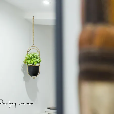 Agreable Et Moderne 2 Pieces ~ Confort Et Design Apartment